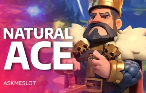 AMBS Natural Ace 1745582611 1